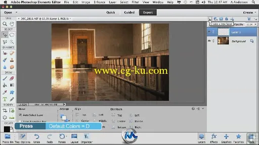 Photoshop Elements 11综合训练视频教程 Infiniteskills Learning Adobe Photosho...的图片3