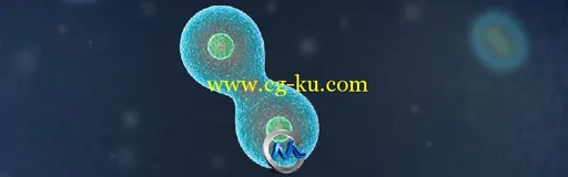 C4D细胞药物作用特效视频教程 Digital-Tutors Animating Cellular Behavior in CIN...的图片1