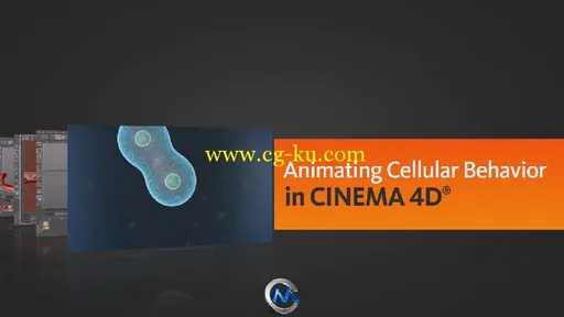 C4D细胞药物作用特效视频教程 Digital-Tutors Animating Cellular Behavior in CIN...的图片2