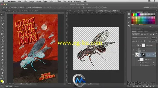 AI与PS创意结合训练视频教程 Lynda.com Photoshop for Designers Working with Il...的图片1