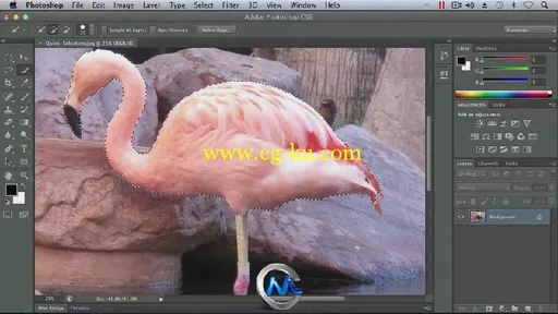 Photoshop CS6要点训练视频教程 Total Training Adobe Photoshop CS6 Extended Ess...的图片2