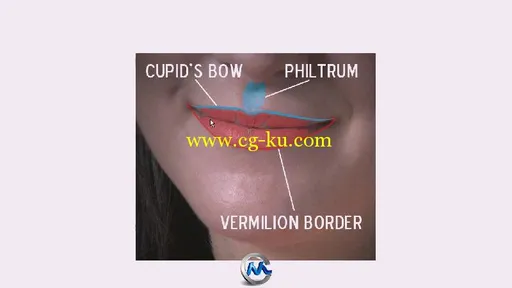 Mudbox2014人物嘴巴雕刻视频教程 Digital-Tutors Sculpting Human Mouths in Mudbo...的图片2