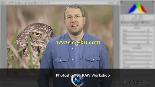 Photoshop CC高品质图像制作视频教程 Lynda.com Photoshop CC Raw Workshop的图片1