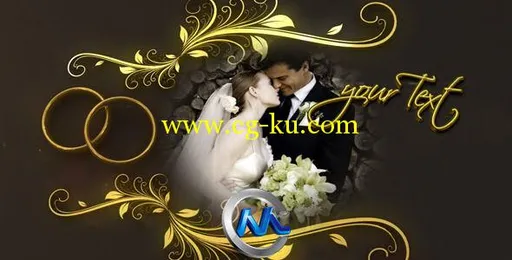 完美婚礼AE模板 VideoHive Wedding Rings 4415971 Project for After Effects的图片1