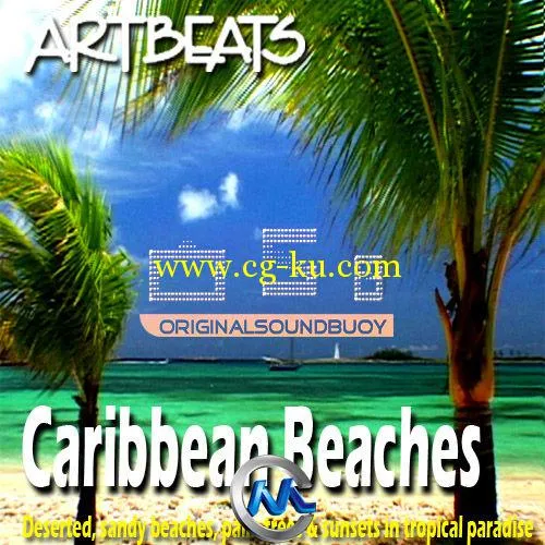 加勒比海海滩高清实拍视频素材合辑 Artbeats Caribbean Beaches V-Line的图片1