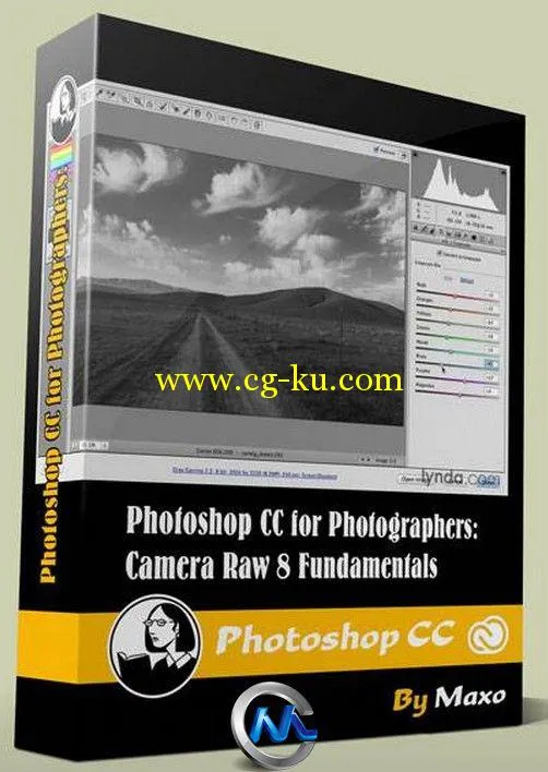 PhotoshopCC中CameraRaw 8应用基础训练视频教程 Lynda.com Photoshop CC for Photo...的图片2