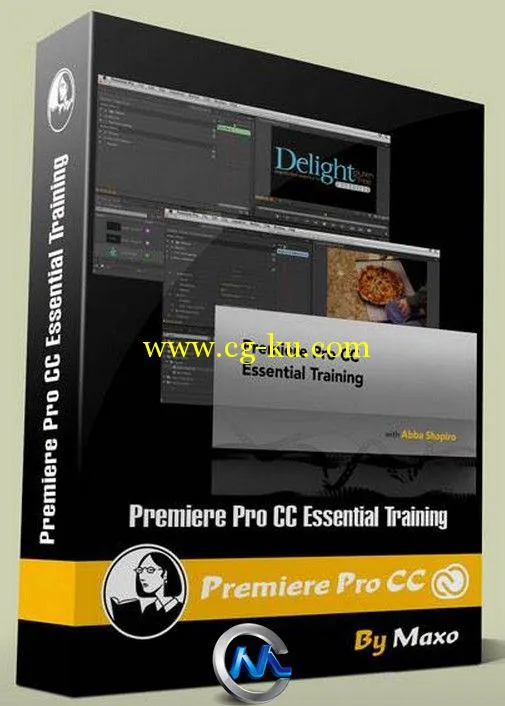 Premiere Pro CC基础入门视频教程的图片1