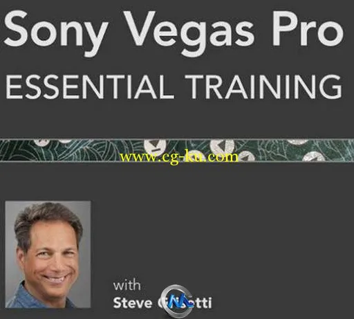 Sony Vegas基础训练视频教程的图片1