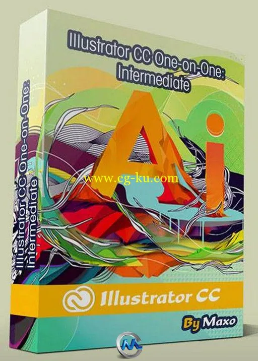 Illustrator CC 一对一进阶训练视频教程的图片1