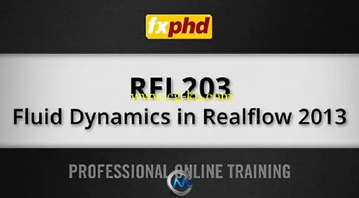 Realflow流体动力学高级训练视频教程的图片2