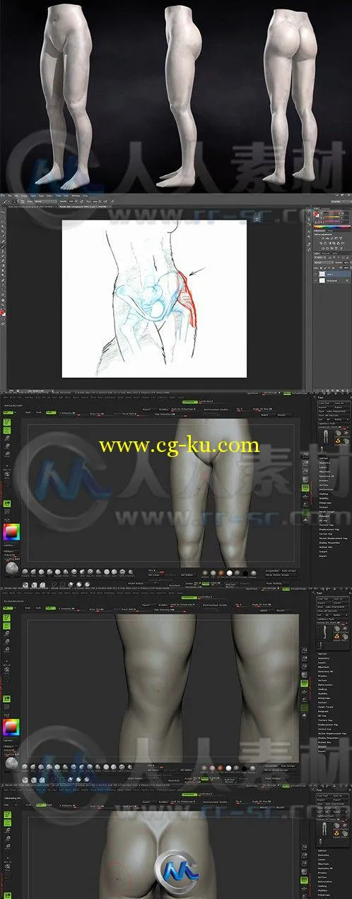 ZBrush女性腿部雕刻艺术训练视频教程的图片2