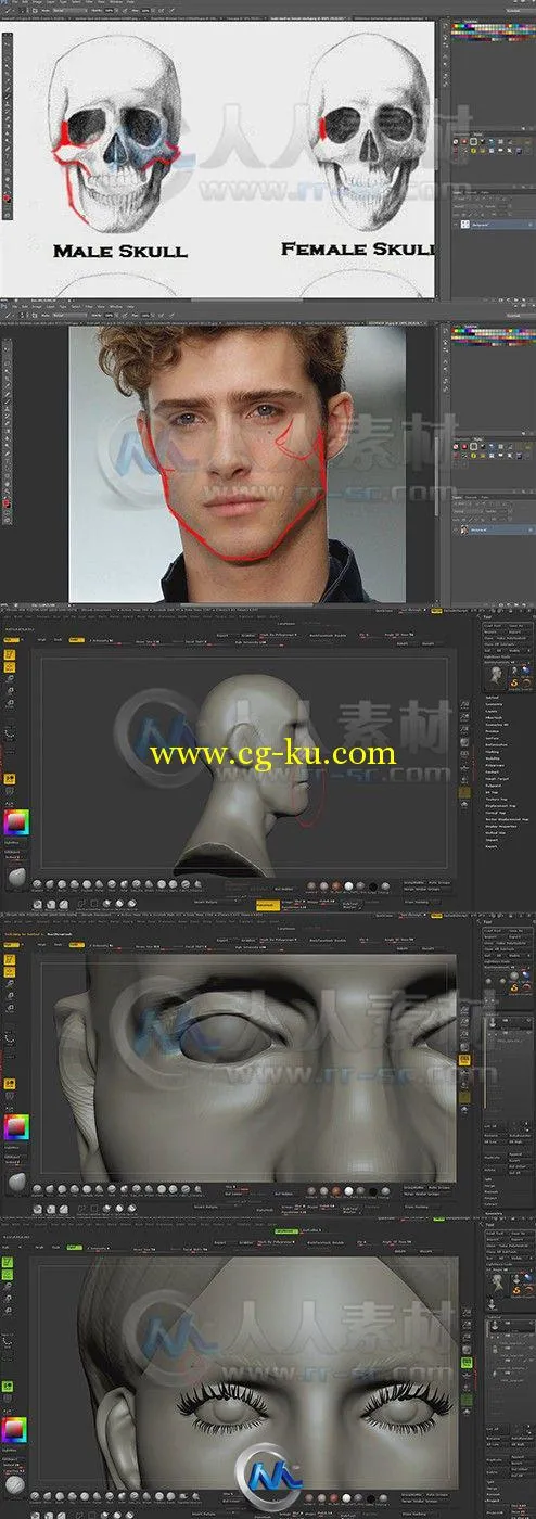 ZBrush面部雕刻艺术训练视频教程的图片2