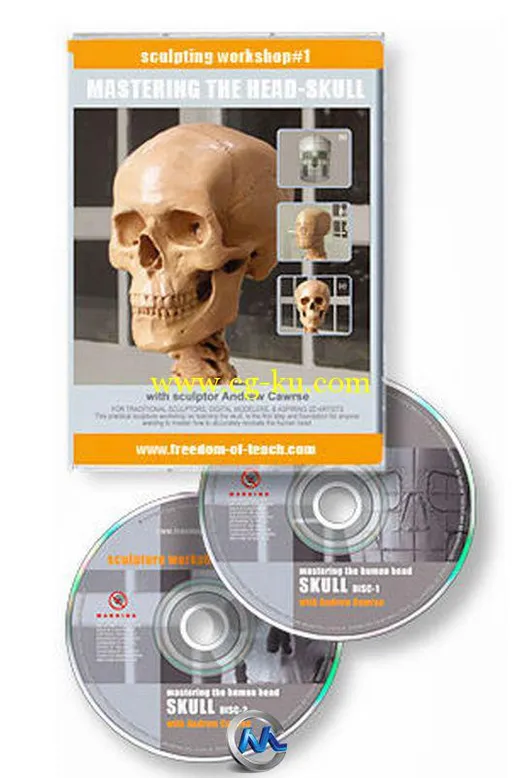 角色头部骨骼剖析指导视频教程的图片1