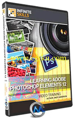 Photoshop Elements 12综合训练视频教程的图片1