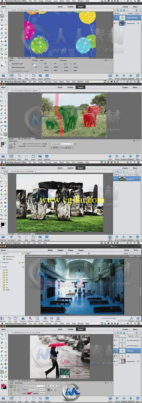 Photoshop Elements 12综合训练视频教程的图片2