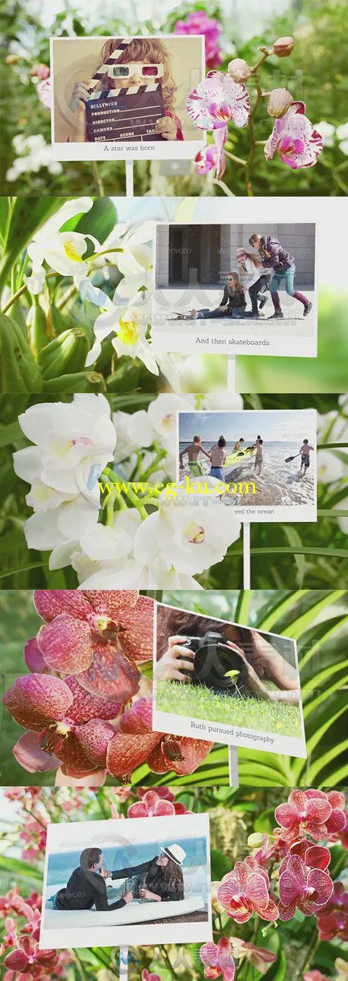 鸟语花香相册动画AE模板 Videohive Photo Gallery with Sunny Flowers 6898143 Pro...的图片1