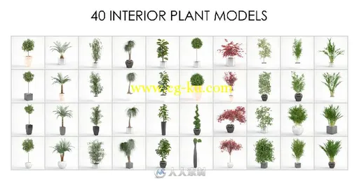 VP室内植物3dsmax插件 VIZPARK Interior Plants for 3ds Max的图片1