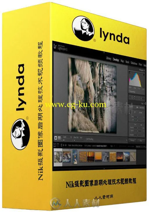 Nik摄影图像后期处理技术视频教程 Lynda Basics of Using the Nik Collection的图片2