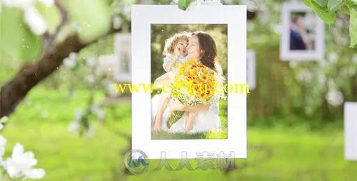 温馨树挂相册动画AE模板 Videohive Photo Gallery Blossoms and Bees 6353451 Proj...的图片2