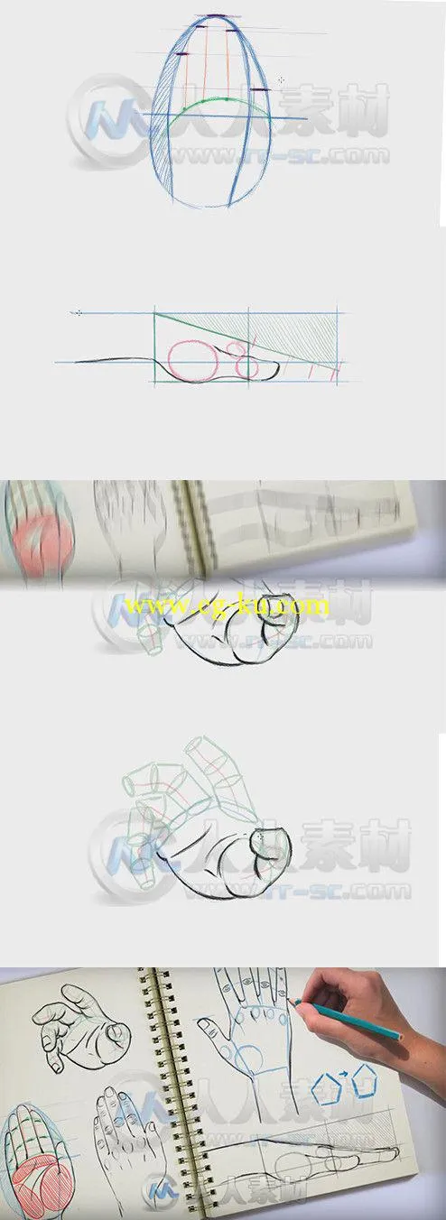 Photoshop手臂数字绘画艺术训练视频教程 Digital-Tutors Methods for Drawing the ...的图片1