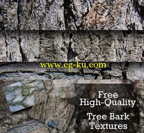 40个树皮高清纹理贴图合辑 Tree Bark Textures 40 Set 1 and 2的图片1