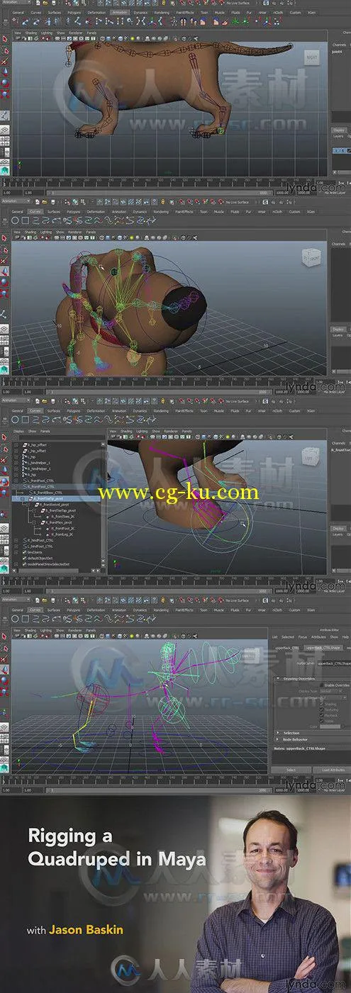 Maya动物骨骼制作训练视频教程 Lynda Rigging a Quadruped in Maya的图片1