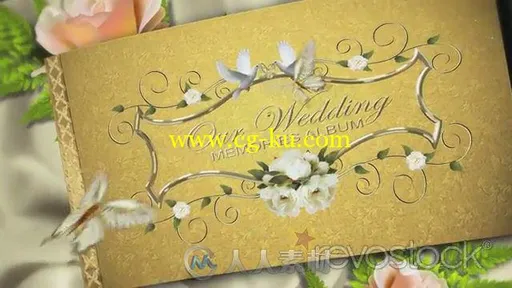 宝贵婚礼相册动画AE模板 RevoStock Our Precious Wedding Album 412783 Project fo...的图片2