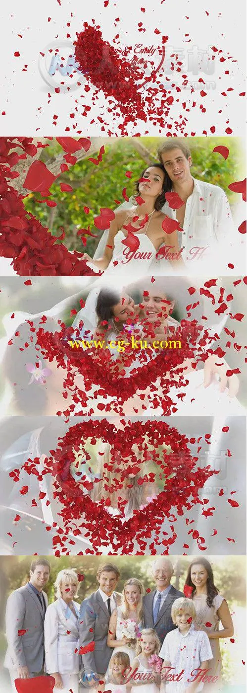 玫瑰婚礼相册动画AE模板 Videohive Roses Wedding Album 7014067 Project for Afte...的图片1