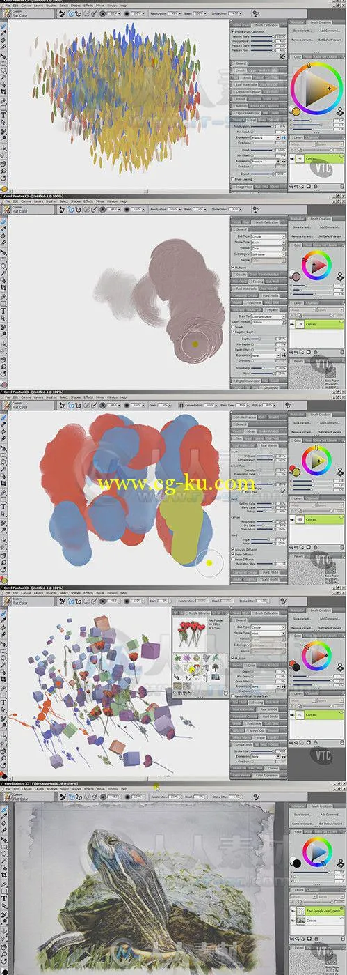 Painter X3先进绘画技术视频教程 VTC Corel Painter X3 Advanced的图片1