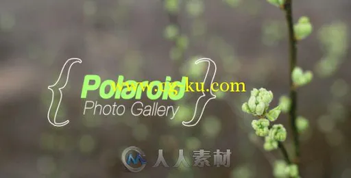 春天印记相册动画AE模板 Videohive Spring Photo Gallery 7712946 Project for Aft...的图片2