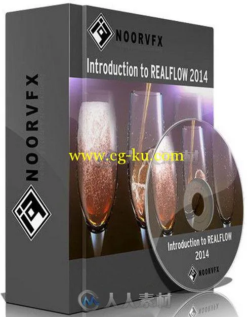 RealFlow与Maya倒酒流体特效制作视频教程 NoorVFX Introduction To RealFlow 2014的图片2