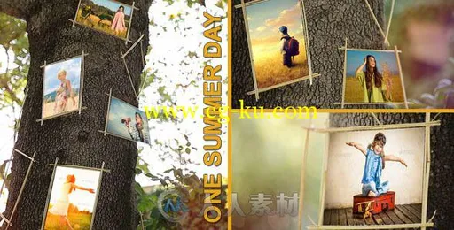 美妙的夏天相册动画AE模板 Videohive One Summer Day 8061281 Project for After E...的图片2