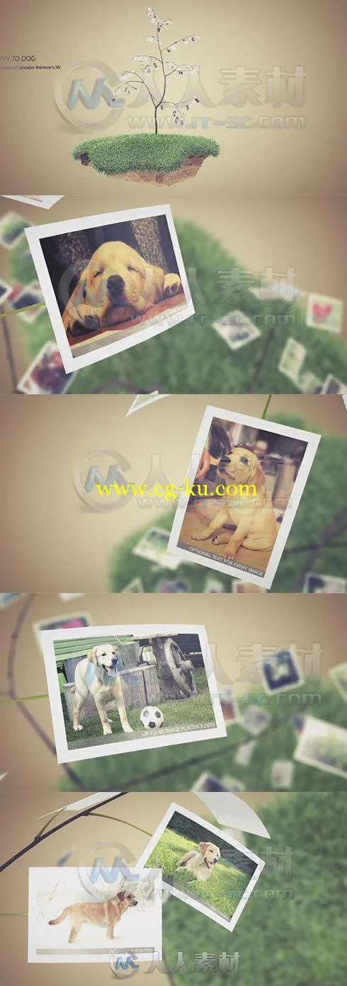 照片树唯美相册动画AE模板 Videohive Picture Tree Photo Gallery 6272860 Project...的图片1