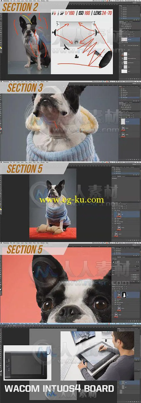 Photoshop宠物狗高级润色技巧视频教程 SkillFeed Photoshop Retouching The Dog的图片1