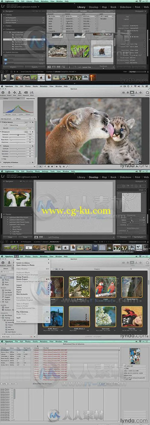 从Aperture到Lightroom照片处理技术视频教程 Lynda Migrating from Aperture to Li...的图片1