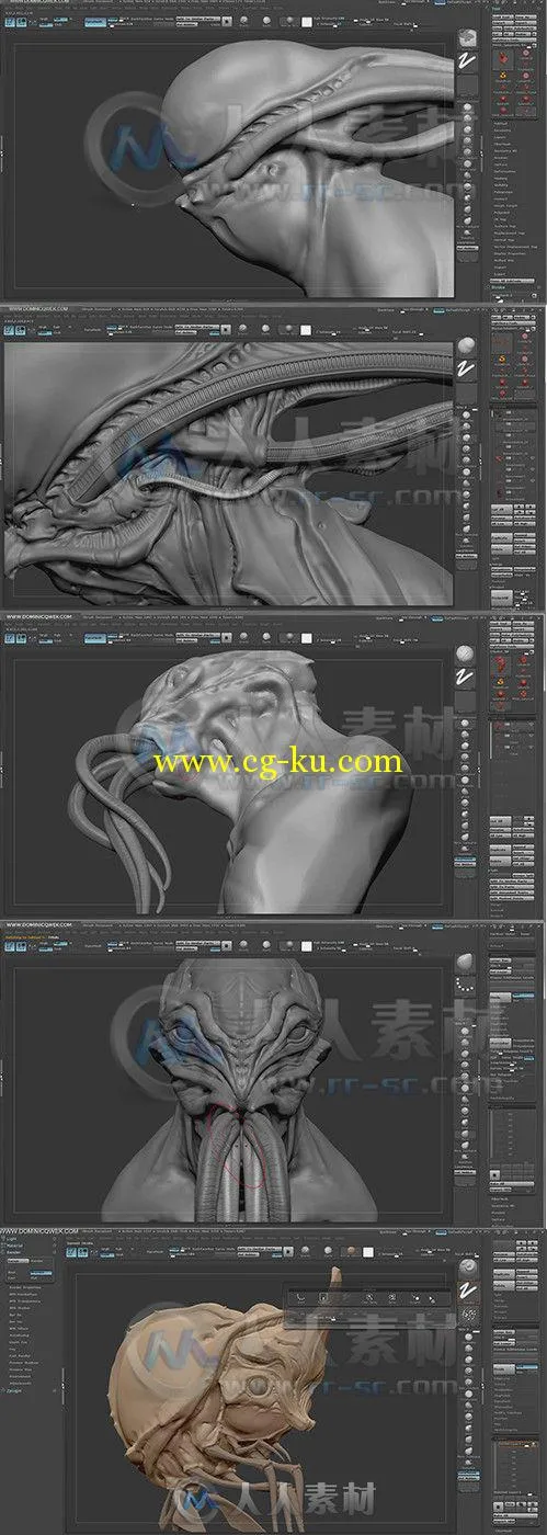 ZBrush高阶雕刻艺术训练视频教程 Gumroad Sculpting Package 1 by Dominic Qwek的图片1