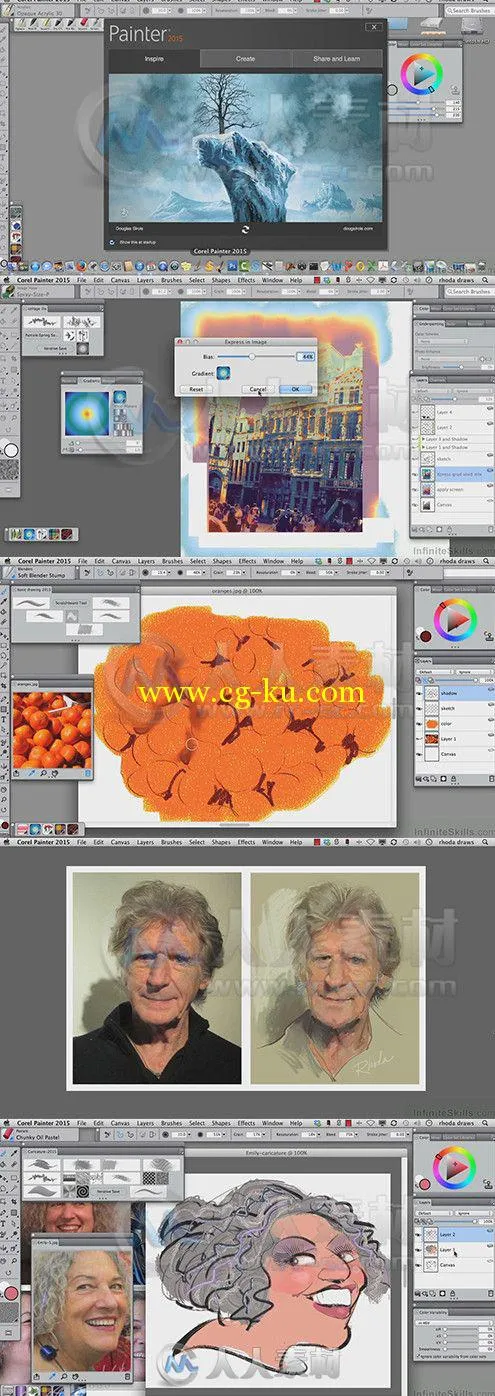 Painter 2015绘画基础技能训练视频教程 InfiniteSkills Learning Corel Painter 2015的图片1