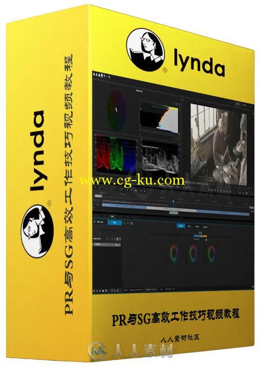 PR与SG高效工作技巧视频教程 Lynda Premiere Pro Guru Lumetri Workflows using Sp...的图片2