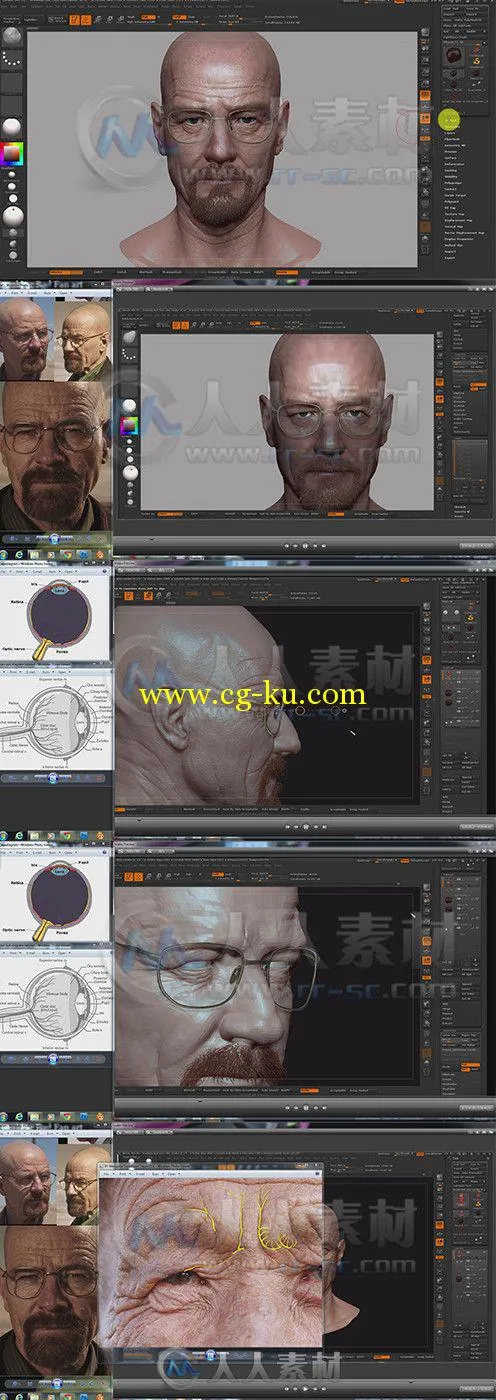 ZBrush面部雕刻解剖学制作训练视频教程 Gumroad Facial Anatomy Sculpting Package...的图片1