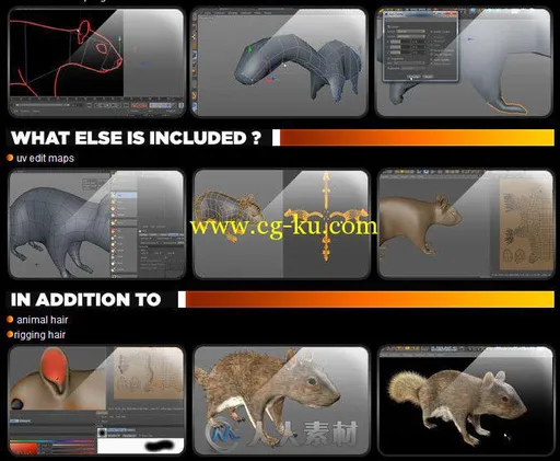 C4D动物毛发制作训练视频教程 Cinema 4D Tutorial.Net Hair Tutorial的图片1