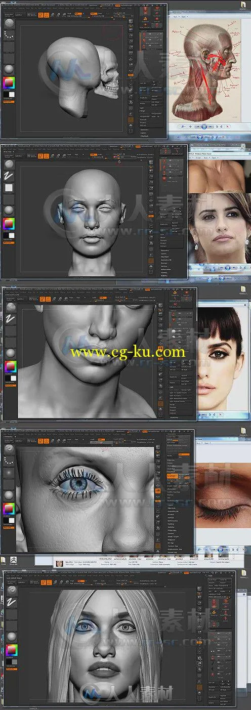 ZBrush女性角色面部雕刻技术视频教程 ZBrushworkshops Female Face Sculpting by S...的图片1