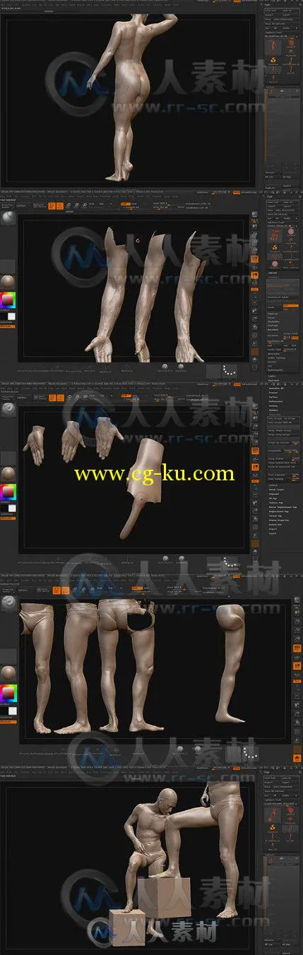 ZBrush人物胳膊与腿雕刻艺术制作视频教程 ZBrushworkshops Fundamentals Of Anatom...的图片1