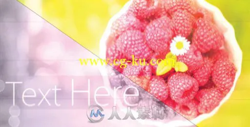 完美设计风相册动画AE模板 Videohive Elegant Slide Show 6680749的图片1