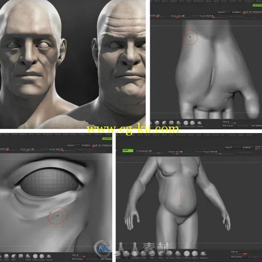 ZBrush肖像体形变化技巧视频教程 Digital-Tutors Altering Body Weight in ZBrush的图片1