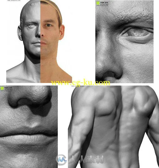 完整男性解剖高精3D模型 3dscanstore Colour Male Anatomy Bundle 01的图片1