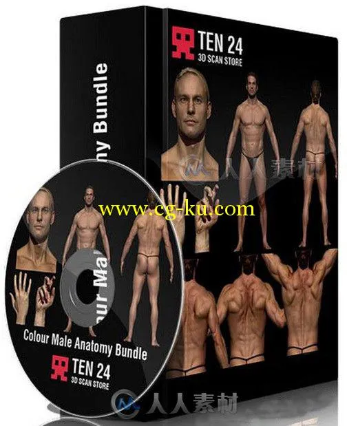 完整男性解剖高精3D模型 3dscanstore Colour Male Anatomy Bundle 01的图片2