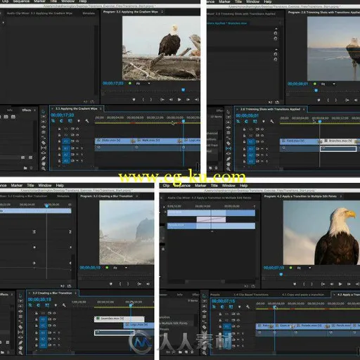 Premiere转场特效剪辑技巧视频教程 Lynda Premiere Pro Guru Better Transitions的图片1