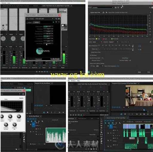 Premiere音频处理技术视频教程 Lynda Premiere Pro Guru Audio Finishing Techniques的图片1