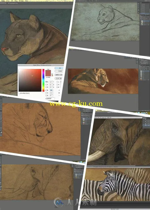 野生动物数码手绘艺术训练视频教程 CreatureArtTeacher Wildlife Painting Bundle ...的图片1