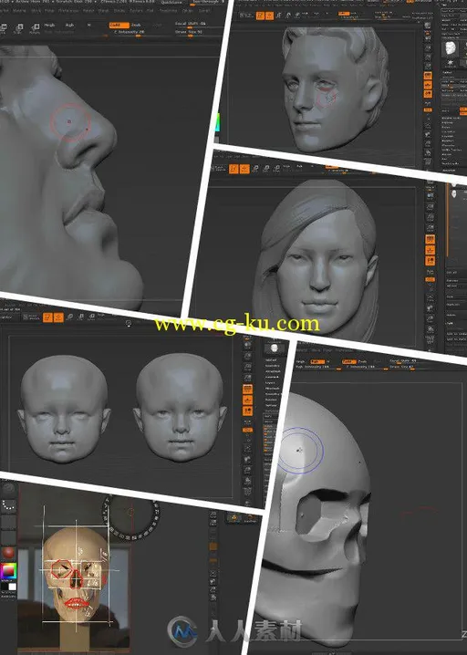 ZBrush人物头部雕刻艺术训练视频教程 Gumroad Quick Sculpting The Human Face Bun...的图片1